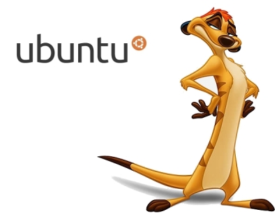 Ubuntu 10.10